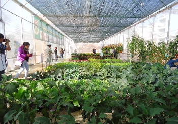 images/thumbnail/nganh-nong-nghiep-ung-dung-may-bien-tan-_tbn_1461030181.jpg