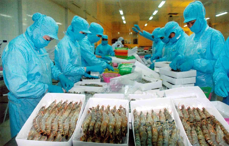 Lắp đặt máy biến tần cho máy nén lạnh nhà máy sx thủy sản