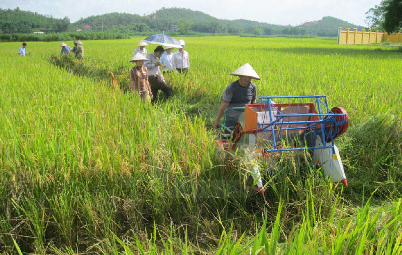 images/upload/tiet-kiem-dien-cho-may-tuot-lua_1460816256.png